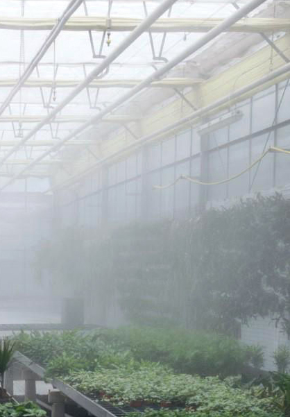 Fog System